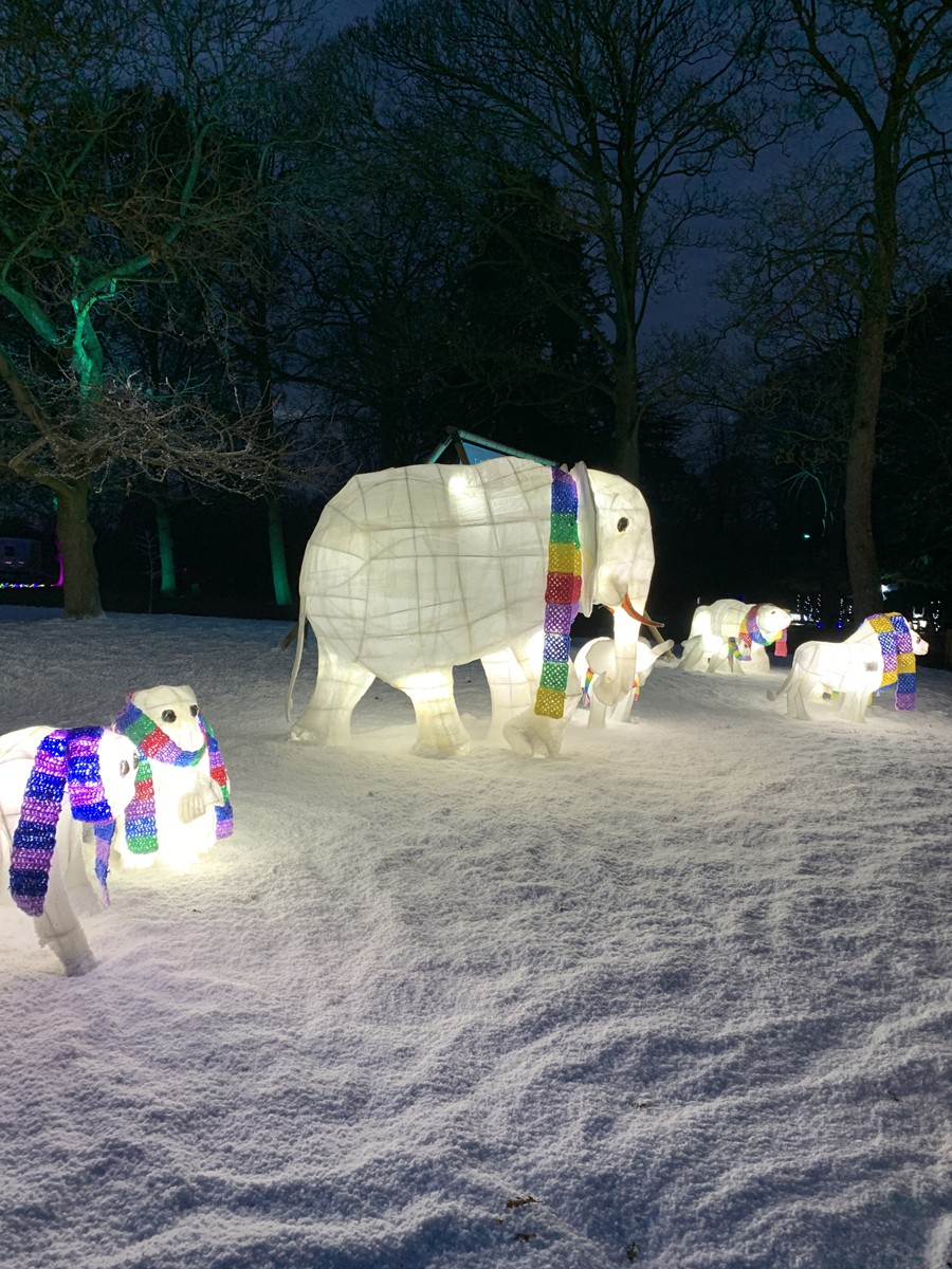 Chester Zoo Light Up Animals with Artificial Snow, Christmas Event Fake Snow Set with Eco Friendly Snow from FX Live