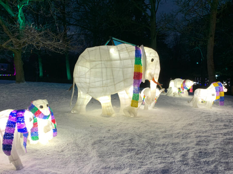 Chester zoo artificial snow display, winter and christmas effects for visitor attractions