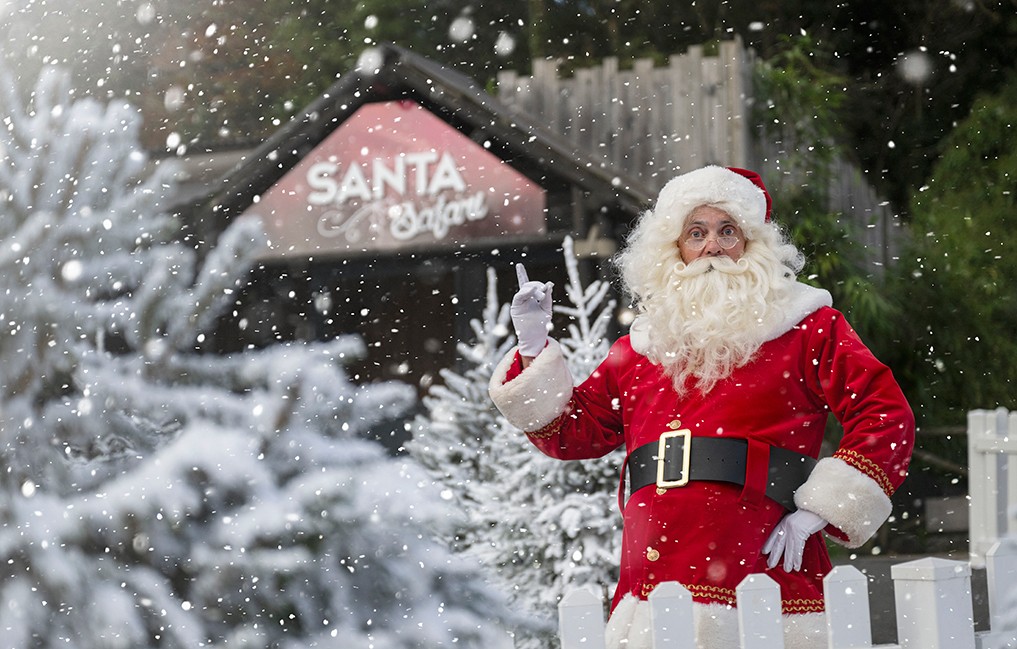 Contact FX Live. Santa Winter Wonderland Fake Snow UK