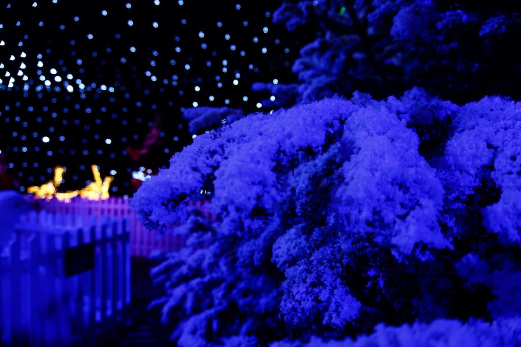 FX Live indoor artificial snow dressing installation at Webbs garden centre