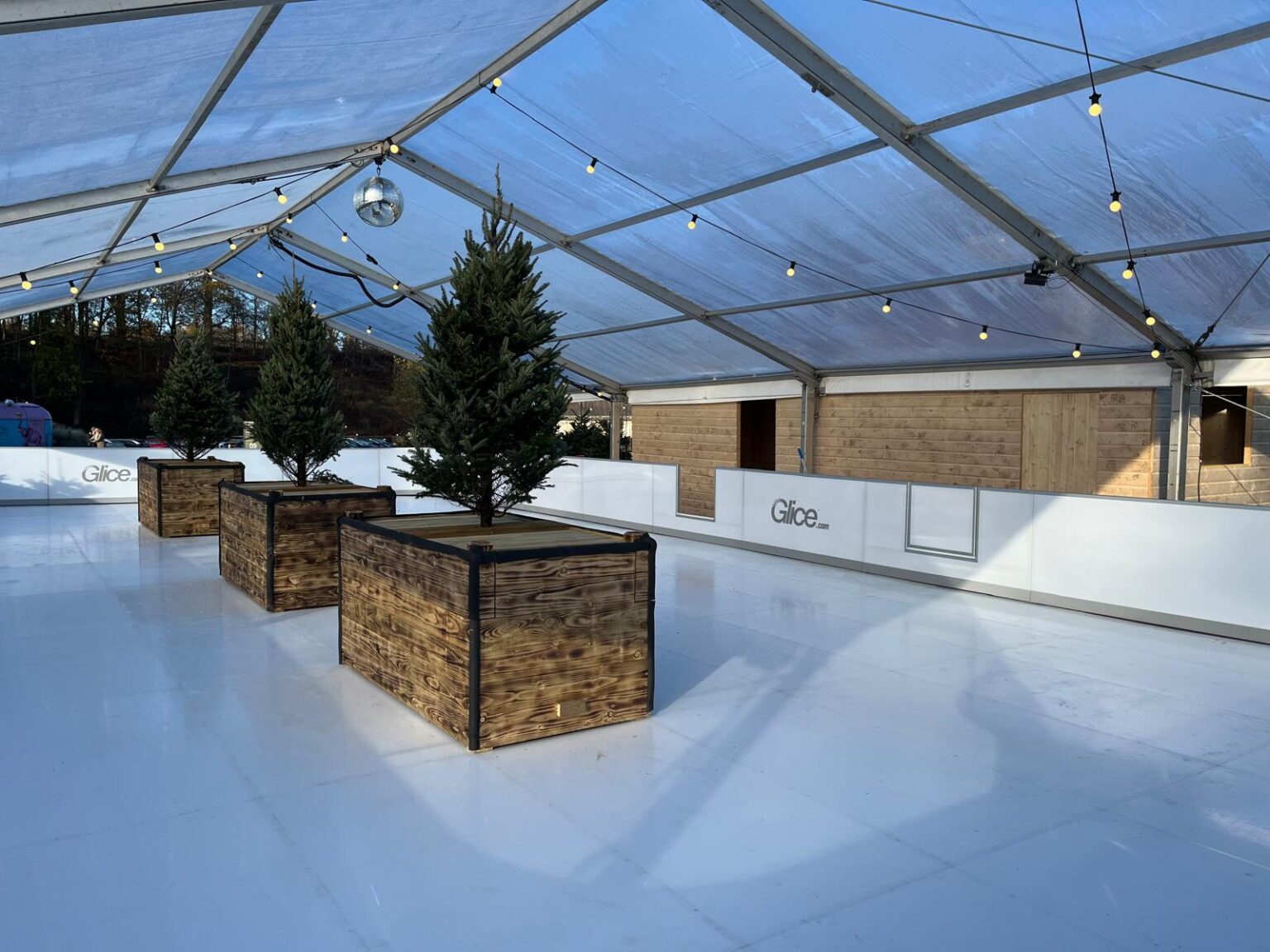 Dalkeith_Glice_2025_4